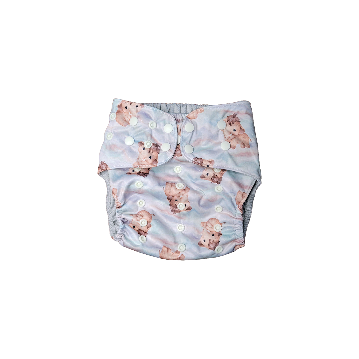BRAY Midsize™ Pocket - Cenozoic