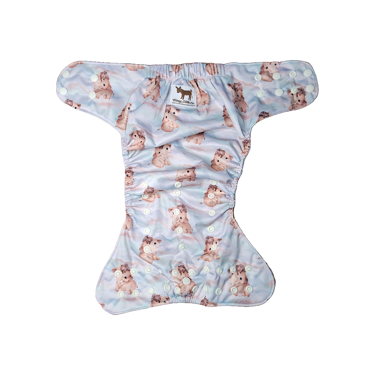 BRAY Midsize™ Pocket - Cenozoic