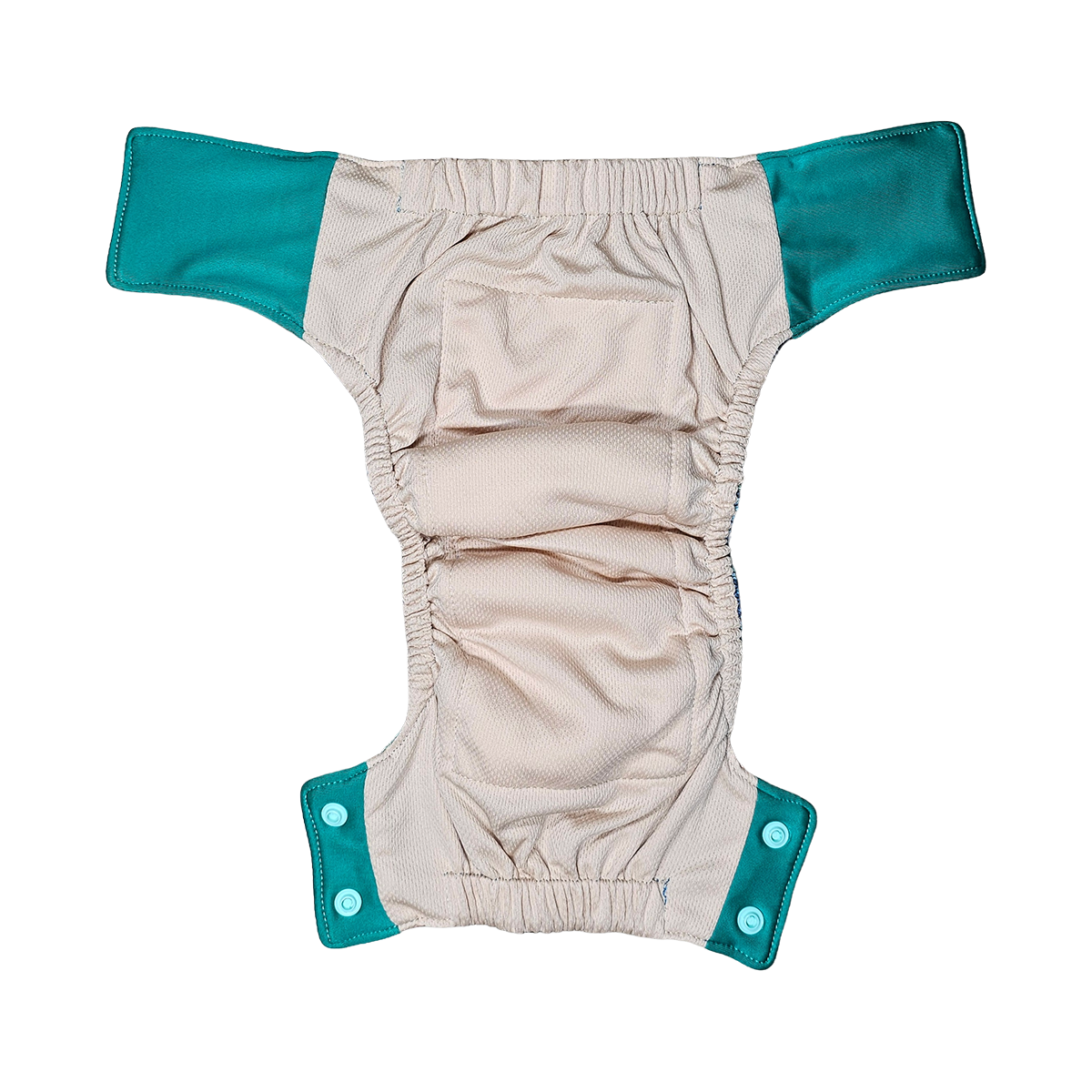 🌟Little Dipper Adjustable Training Briefs - I'M NOT A GECKO