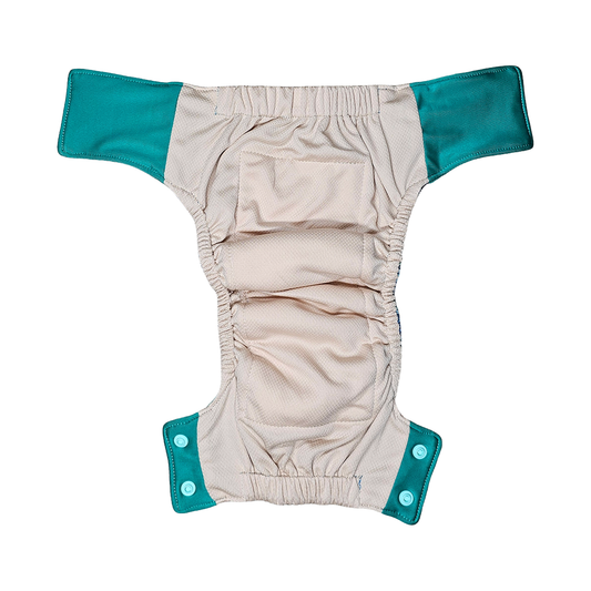 🌟Little Dipper Adjustable Training Briefs - I'm Not a Gecko