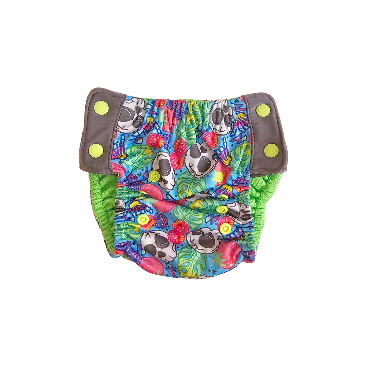 Midsize Splash and play swim bottoms - Hang Ten